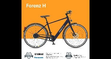 EZWLZ Elektrische Fiets Forenz H - Actieradius 50 km - Yamaha Achterwielmotor - Hybride E-Bike - Panasonic batterij - LCD Display - Blauw Grijs/Matt
