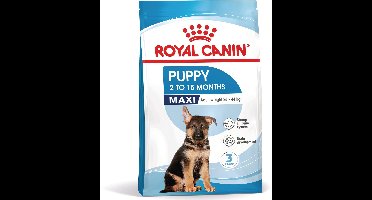 Royal Canin Maxi Junior - Hondenvoer - 10 kg