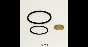 JBL UV-C O-Ring Kwartsglas