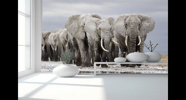 Peel & stick Fotobehang - Majestic Elephant Parade Reflection Mural - 250x50 centimeter