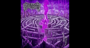 Maze Envy