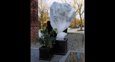 Nature - Winterafdekvlies voor planten - 2 x 10m - 30 g/m² - winterbescherming