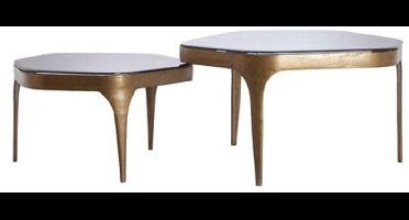 Light&living Salontafel S/2 max 77x70x42 cm AVI glas smoke+antiek brons