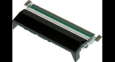Zebra P1058930-012, ZT420, Thermo transfer