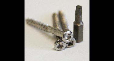 Meuwissen Agro Vlonderschroeven RVS 200 st. + 2 bitjes - Torx 4,5 x 30 mm