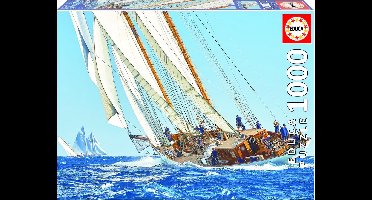 Legpuzzel - Zeiljacht - Educa Puzzel - 1000 stukjes