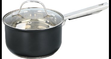 Steelpan met deksel - RVS - 1,5 l - voor alle warmtebronnen