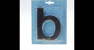 Oxloc Huisletter RVS 120mm B