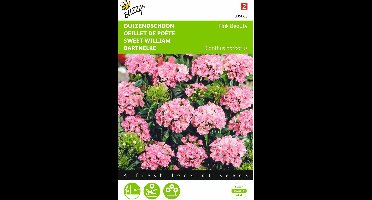 2 stuks Dianthus, Duizenschoon Pink Beauty