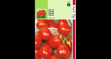 2 stuks - Hortitops - Tomaten Roma Vf