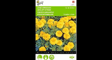 2 stuks Tagetes, lage Afrikaan Petite Yellow