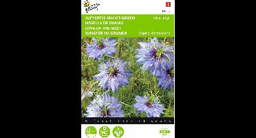 2 stuks - Buzzy - Nigella Damascena Miss Jekyll Blauw