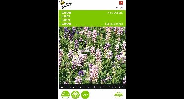 2 stuks Lupinus, Lupine Pixie Delight gemengd