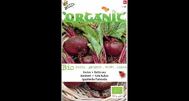 5 stuks - Buzzy - Organic Bieten Egyptische (Skal 14275)