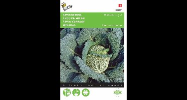 2 stuks - Buzzy - Savooiekool Winterkoning 2