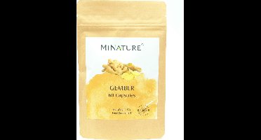 Gember Capsules 60 stuks - 450mg Poeder van Gemberwortels per Vegan Capsule - Ginger Root - 100% Plantaardig