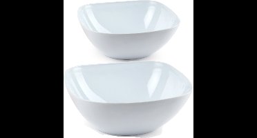 PlasticForte voedsel serveerschalen - set 5x stuks - wit - kunststof - 2700 ML/680 ML