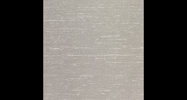 FC Murals Dual 32-Silver - vliesbehang - 10m x 53cm