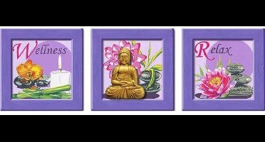 Ravensburger Schilderen op nummer Buddha - Hobbypakket