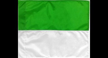 Non-branded Grensrechtersvlag 39 X 32 Cm Groen / Wit