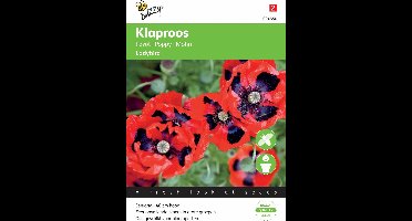 Buzzy® Papaver commutatum Lady Bird