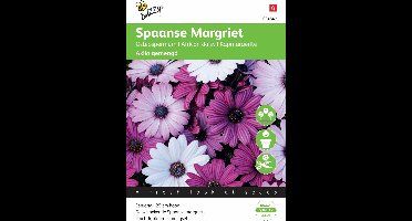 Buzzy® Osteospermum Akila mix Spaanse Margriet