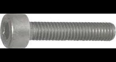 INBUSBOUTEN M5 20 MM  R.V.S. 12 ST.