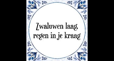 Tegeltje met Spreuk (Tegeltjeswijsheid): Zwaluwen laag, regen in je kraag + Kado verpakking & Plakhanger