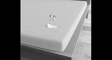 Dreamhouse Incontinentie Hoeslaken - Waterdicht - 100x200 - Wit