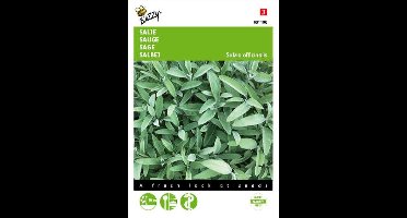 Buzzy Zaden Salie - Salvia officinalis