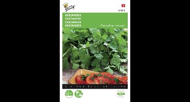 Buzzy® Koriander grootzadig