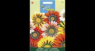 Middaggoud Sunshine gemengd - Gazania splendens