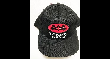 Batman & Robin Logo Cap - Pet
