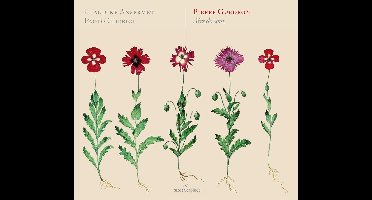 Paolo Cherici & Claudine Ansermet - Guédron: Airs De Cour (CD)