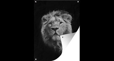Tuin decoratie Een leeuw weergegeven in zwart-wit op een zwarte achtergrond - 30x40 cm - Tuindoek - Buitenposter