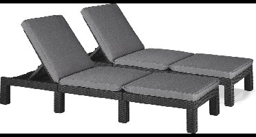 Allibert Daytona Deluxe Ligbed - 3 posities - 65x195x25,5cm - 2 stuks - Grafiet