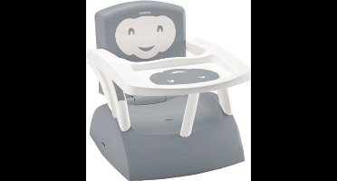 THERMOBABY BOOSTER van stoel 2 in 1 Charming Grey