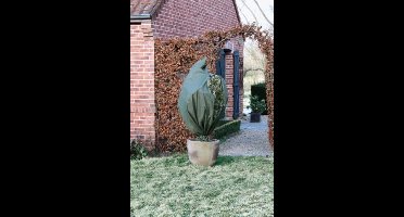 Winterafdekhoes, Ø250x300 cm, vorstbescherming, beschermhoes vorst, plantenhoes, groen