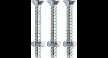 Metaalschroef met moer. M3 x 25mm. lang. platkop verzinkt. 20 stuks bouten met moeren. Homefix.