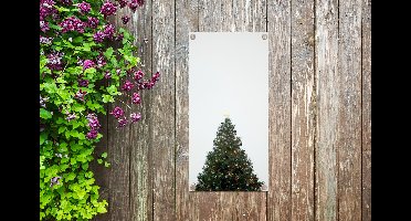 Tuinposter De top van een dennenboom grijze lucht - 30x60 cm - Tuindoek