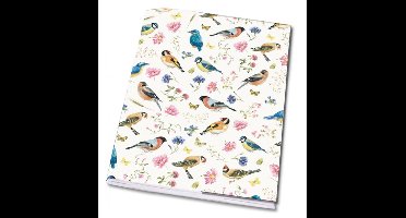 Set van 3 schriften Janneke Brinkman VOGELS
