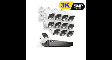 Beveiligingssysteem – Camerasysteem – Bewakingscamera – CCTV Set – Videobewaking – 12x 3K Camera’s Met Microfoon – AI Detectie En Nachtzicht