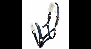 Cantal Paard Verandering