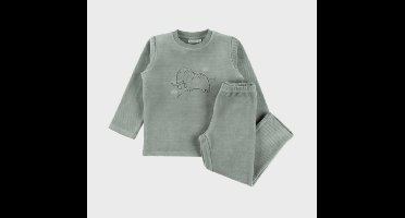 Noukie's - Pyjama - Mammoet - Groen - Unisex - Maat 2 jaar - 92 cm