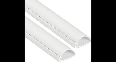 D-Line 1M3015W-2PK Mini zelfklevend kabelgoot, decoratieve zelfklevende kabelafwerking, kabelmanagement, elektrisch netjes wegwerken, populaire kabelbeheeroplossing - 2 x 30 mm (B) x 15 mm (H) - 1 meter lengtes (2-meter), wit