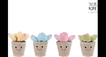 Van Manen plant knuffel pluche 13cm - schattig speelgoed cadeau.