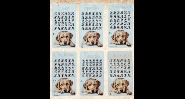 Cash stuffing challenge Labrador geel