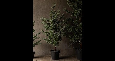 Larix Boom - 120 cm - Decoratieve Kunstmatige Dennenboom - Luxe Groene Naaldstructuur - Levensecht & Stijlvol – Inclusief Vaste Zwarte Pot