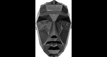 Vegaoo - Spelmeester masker