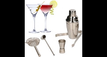 Set van 4x Martini cocktailglazen met complete 5-delige cocktailshaker set RVS - 220 ml - Cocktails drinken - Cocktails